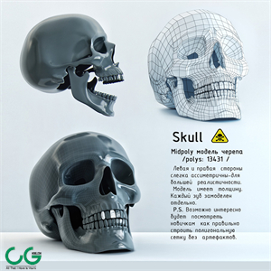 Skull